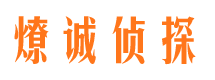 洛南寻人公司